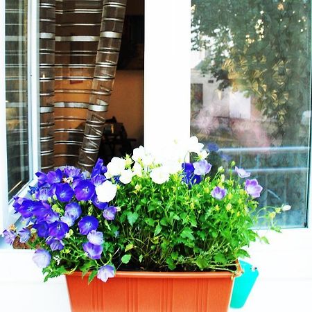 Apartment 5 Min By Walk To The Center Бърно Екстериор снимка